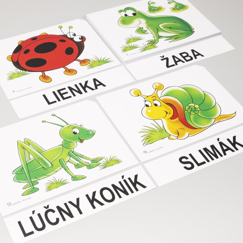 Magnetické obrázky Zvieratká – les a lúka, 56 kariet