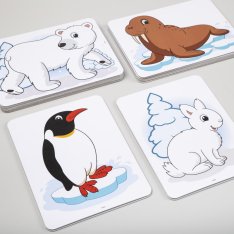 Magnetické obrázky Zvieratká – polárne, 12 kariet