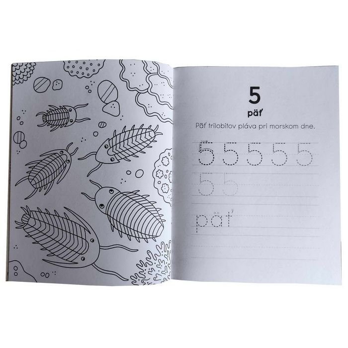 Dinosaury - Učíme sa písať Čísla, 64 strán
