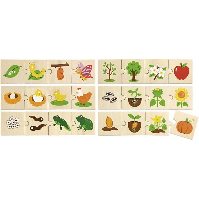Viga Puzzle Evolúcia, 24 dielikov