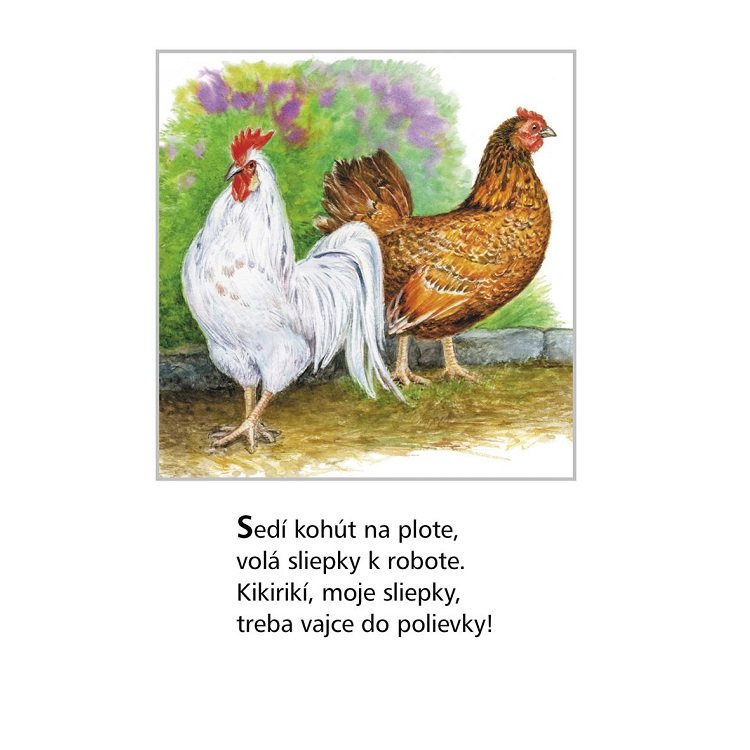 Ľudové riekanky o zvieratkách