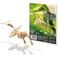 Buki Drevená 3D stavebnica dinosaura, rôzne modely
