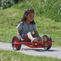 Winther Viking Trojkolka Swingcart S