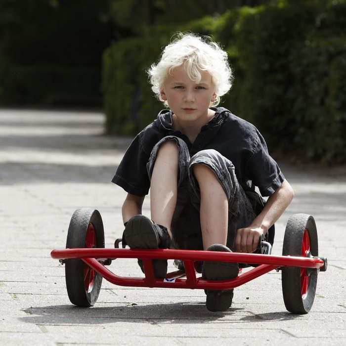Winther Viking Trojkolka Swingcart L