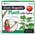 Learning Resources Magnetický životný cyklus rastliny 2v1