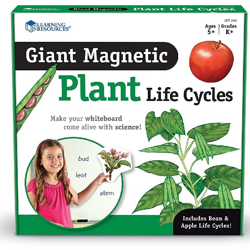 Learning Resources Magnetický životný cyklus rastliny 2v1