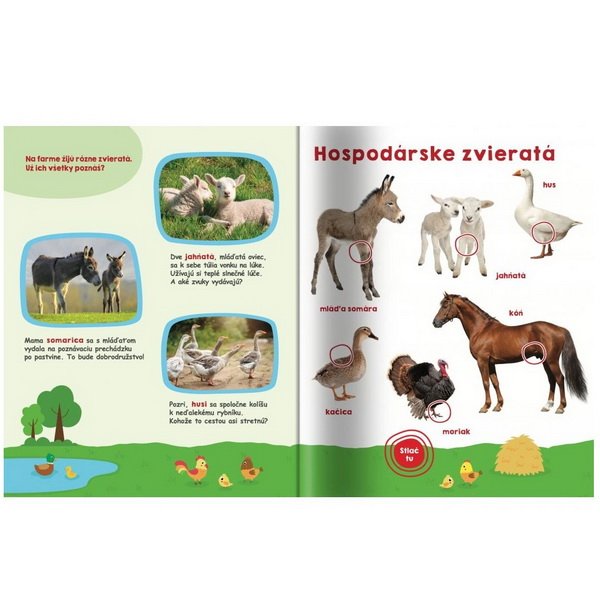 Moja veľká kniha Zvuky na statku