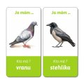 Ja mám, kto má - Vtáky