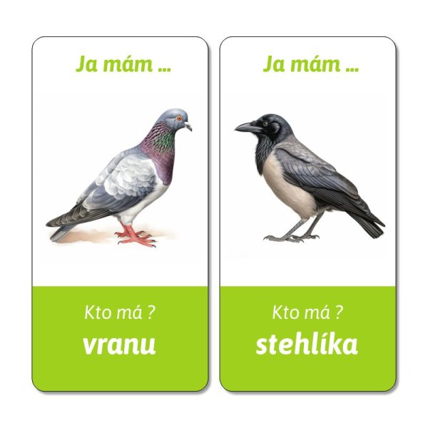 Ja mám, kto má - Vtáky