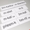 Komplexná sada pracovných kariet Vybrané slová, 474 kariet