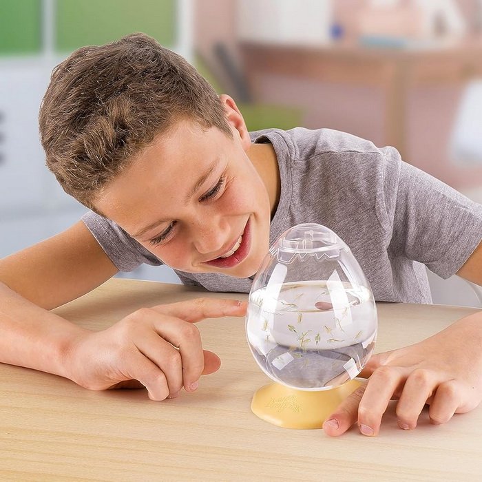 Aqua Dragons® Vodné dráčiky EggSpress