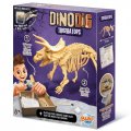 Buki Vykopávky a kostra Triceratops