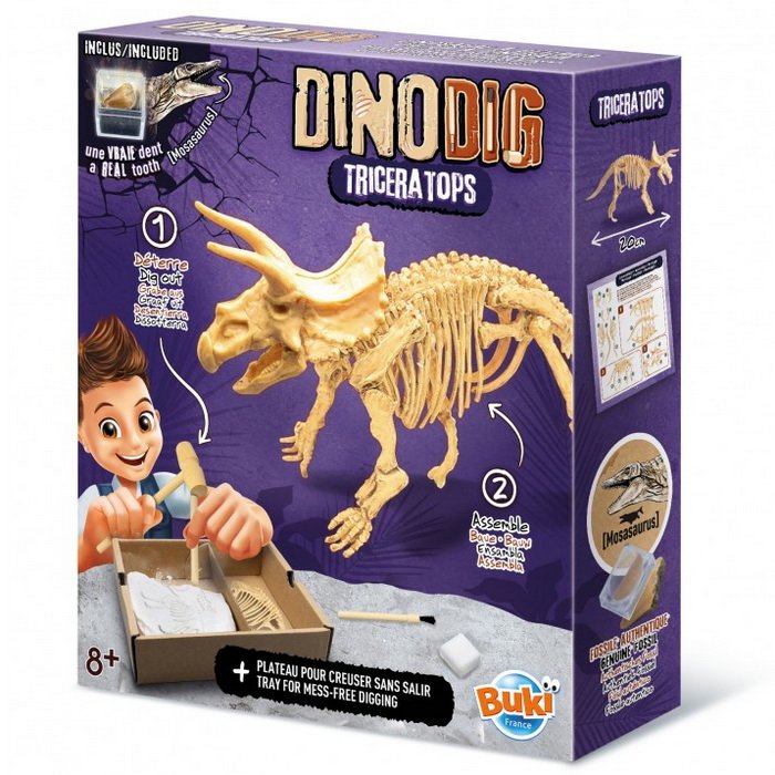 Buki Vykopávky a kostra Triceratops