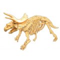 Buki Vykopávky a kostra Triceratops