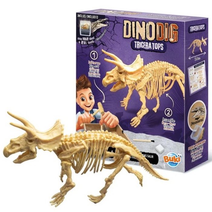 Buki Vykopávky a kostra Triceratops