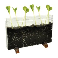 Eduplay Priehľadný záhon, 30 cm