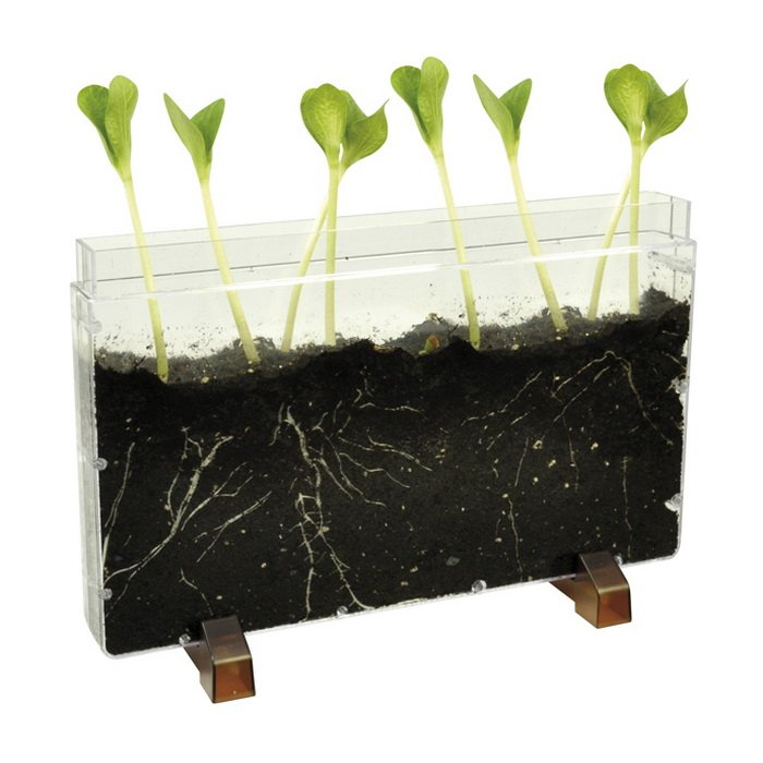 Eduplay Priehľadný záhon, 30 cm